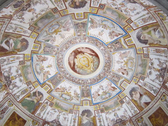 OmoGirando Palazzo Farnese