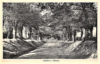 Le olmate in una cartolina d'epoca