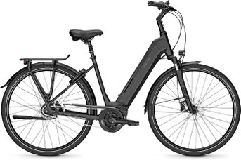 Raleigh Austin Lasten e-Bike 2017
