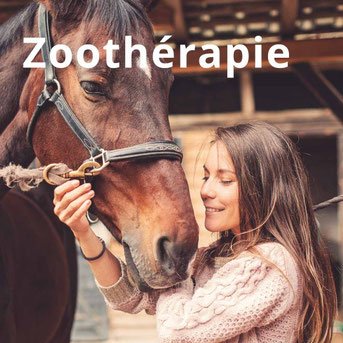 equitherapie en touraine - annuaire des therapeutes via energetica