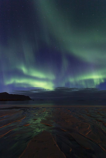 Aurora Borealis reflecting in the sand of Ramberg beach, Lofoten Islands, Norway, Scandinavia, Europe