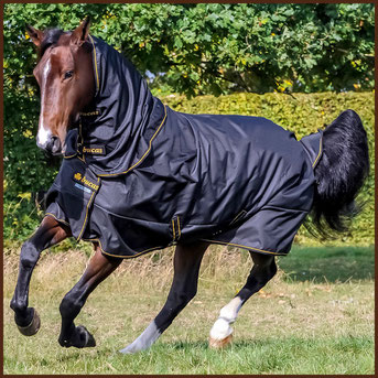 Reitsport Heiniger, Schönbühl - Blogartikel Regenwetter = Weidedeckenzeit