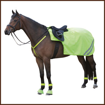 Reitsport Heiniger, Schönbühl - Blogartikel Regenwetter = Weidedeckenzeit