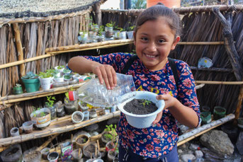 Narly Pacheco Carrillo, a descendant of the Popolocan tribe She is tackling the CFP activities with the way of thinking taught by OISCA staff : “It is important to work oneself”.