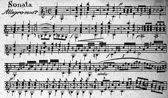 S. Molitor: Grande Sonate pour Guitarre, et Violon concertants op. 3, Wien 1804.