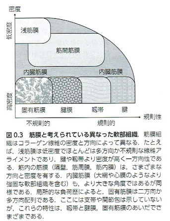 「人体の張力ネットワーク 膜・筋膜」より