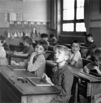 robert d'oiseau l'information scolaire cycle 3