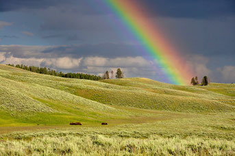 Arc en ciel, couleurs naturelles, rouge, jaune, vert, bleu, orange, violet