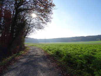 Tiere Natur mit andren Kindern erleben Waldspielgruppe