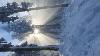Lichtblick im Winter
