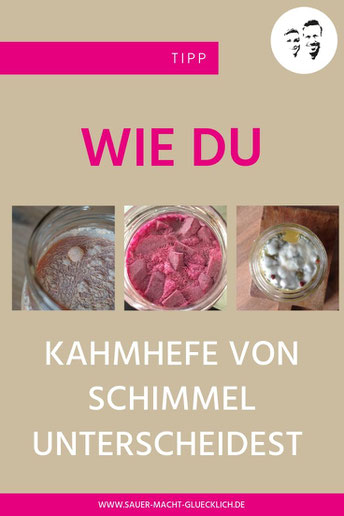 Kahmhefe, Schimmel