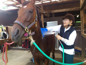 山藤万里子さんが馬に乗る理由