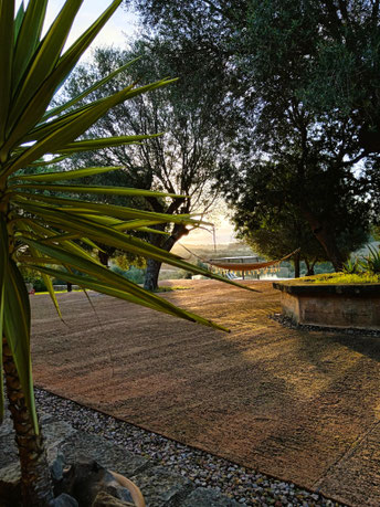 Finca Manacor Mallorca mit traumhaftem Blick, Hängematte und Pool beim mallorca retreat von lb personal training.