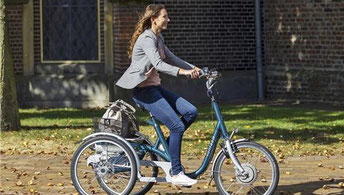 Van Raam Maxi Dreirad Elektro-Dreirad in Tuttlingen