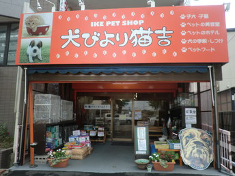 店舗案内 - 池ペットショップinubiyori-nekokichi ページ！