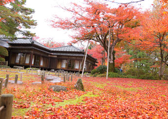写真提供:地域おこし協力隊 佐藤亮