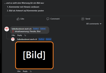 Screenshot der Kommentarspalte unter einem Facebook-Post in unserer Gruppe mit Beispiel für den Einsatz einer Inhaltswarnung bei einem Bild