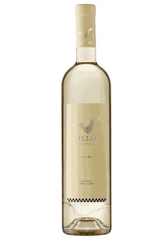 Liliac Feteasca Regala 2025