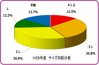 2016南高梅【サイズ別グラフ】 和×夢 nagomu farm 