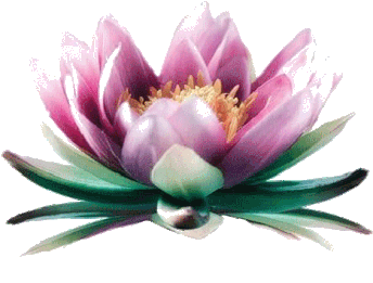 Dominique MARION Psychanalyste - Cabinet de psychanalyse et psychothérapie Albertville Ugine Faverges