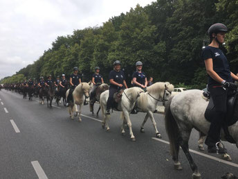 Gesittet in Zweierreihen durch Berlin (Foto:C.Riedel)