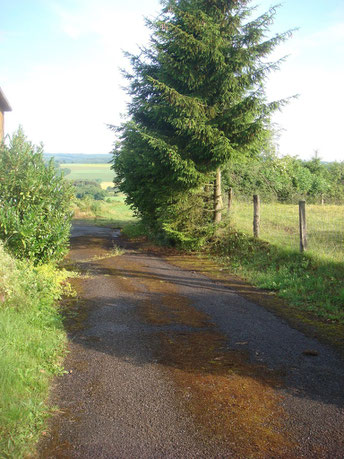 This is the sunken road road near the Berlé chruch where the M10 Tankdestroyer of the 773rd Tank Destroyer Battalion was