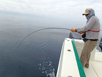 Fighting a Skipjack Tuna