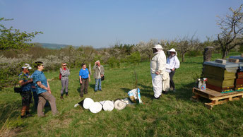Foto: NABU Ilm-Kreis