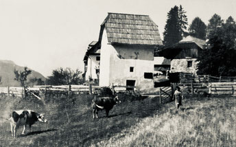 Turmhütte um 1950
