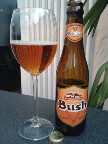 Dubuisson Bush Ambrée