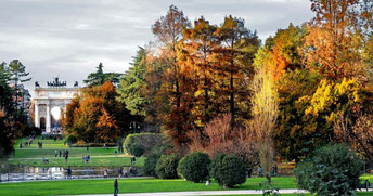 Foliage al Parco Sempione