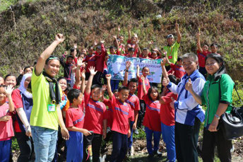 Tree Planting