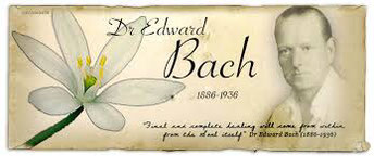 Dr. Edward Bach - Bachblüten - Isabella Lechleitner - my-elixir.ch