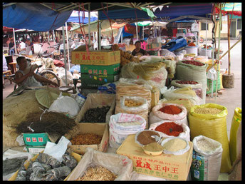 Chinese kruiden op een markt in China. (foto gemaakt door Marina van Kuilennburg)