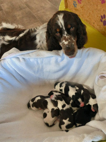 Eine stolze Mama mit ihren Zwergen! Foto: Hagge