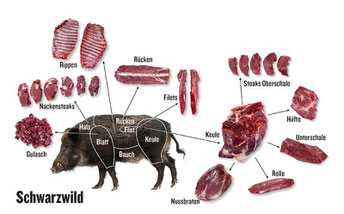 Zerlegungsgrafik Schwarzwild von https://lebensmittelpraxis.de/images/jooslider/25822/05LP2019_16_Schwarzwild.jpg 