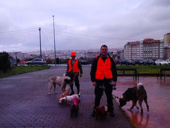 Clase de paseador canino profesional en plaza de Visma (AÑO 2014).