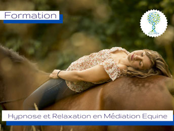 Formation-Qualifiante-Médiation-Equine-Equithérapie-Hypnose-Relaxation-avec-le-cheval-Domaine-des-hauts-de-landelle-ELLIPSY