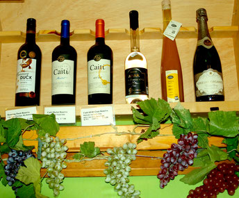 Neue Weine - Weinprobe Apri 2018