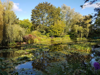 Jardin Monet mit Seerosenteich