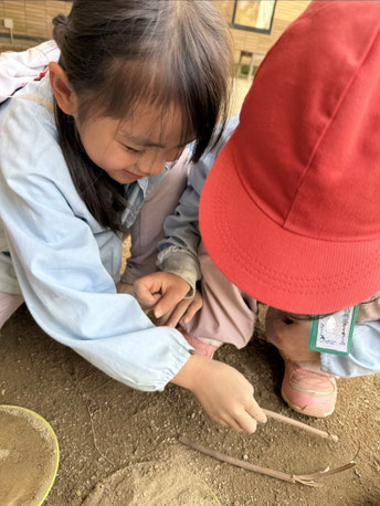 「わ！手に登ってきた！」