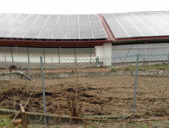 Gülle Biogas Erzeugung Foto Solarstrom Simon