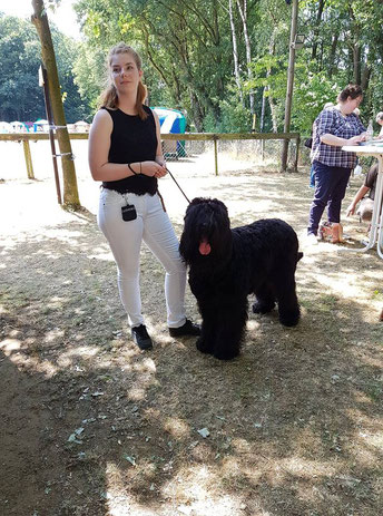 Llynn und Bo warten auf die Zuchtzulassung.