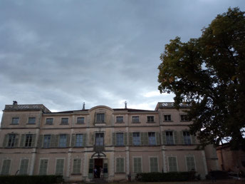 Foto: privat von Gabrielle C. J. Couillez