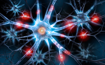 Schmerz ist nicht gleich Schmerz - Neuropathische v. nozizeptiven Schmerzen unterscheiden „Schmerz ist ein unangenehmes Sinnes- u. Gefühlserlebnis, das mit aktueller od. potentieller Gewebeschädigung verknüpft ist od. m. Begriffen einer solchen Schädigung