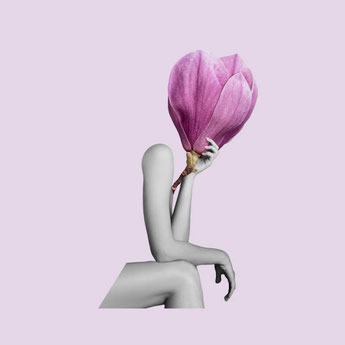 Tulpe im Rosa Ton wird von einer Hand gehalten, kein Kopf sichtbar.
