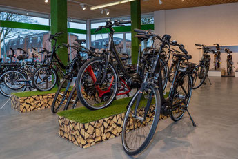 e-motion e-Bike Welt Schleswig