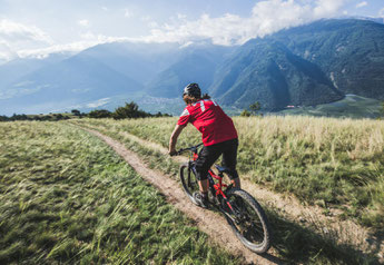 Haibike e-Bikes und Pedelecs in der e-motion e-Bike Welt in Karlsruhe