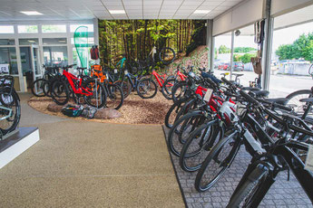 e-motion e-Bike Händler in Heidelberg