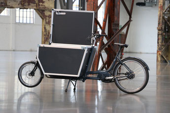 Babboe Pro Bike Flightcase